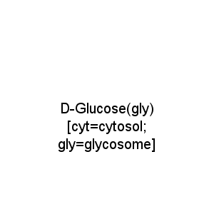 D-Glucose(gly) [cyt=cytosol; gly=glycosome]